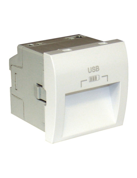 CARREG DUPLO USB SAIDAS 20° TIPO A 2 MOD BR 45384SBR - 45384SBR