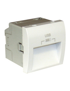 CARREG DUPLO USB SAIDAS 20° TIPO A 2 MOD PM 45384SPM - 45384SPM