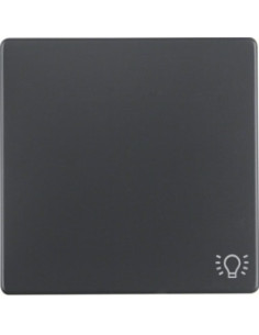 Q. X - TECLA SIMPLES SIMB. LAMP, ANTR. 16206046 - 16206046