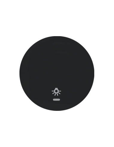 R. 1/R. 3 - TECLA C/VISOR SIMB. LAMP, PRETO 16212035 - 16212035