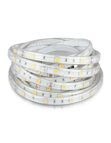 Fita LED [Rolo 5MT] 4,8W/Mt 6000ºK IP65 V-TAC 2144 - 895-2144