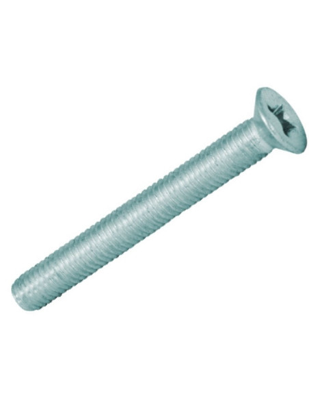 Pf.C.Emb.Ph DIN965 Fe Zn M5X30 - 096512050300