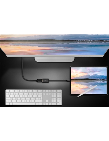 Adaptador USB-C macho / DisplayPort femea #2 - 500-38530