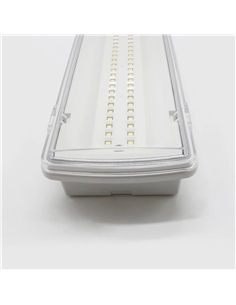ARMADURA EMERGENCIA IP65 4W 6500K Maxled 34507 - 721.34507 2