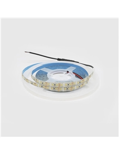 LED FITA 12V IP44 2835 9.6W 6000K 5M Maxled 31933 - 721.31933 2