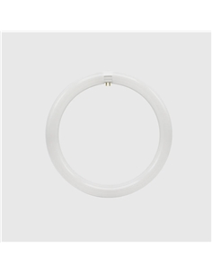 LAMPADA LED CIRCULAR T9 300MM 18W 6000K Maxled 28063 - 721.28063