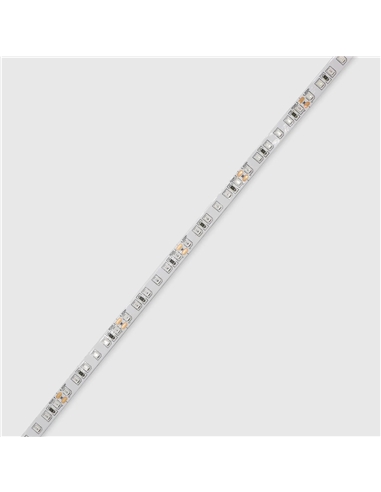 FITA LED 2835 120P IP20 24V VERDE 5M Maxled 31865 - 721.31865