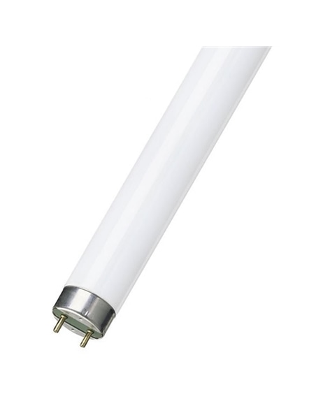 Lampada Fluorescente T8 G13 36W/840 4000K - HYZ36CW